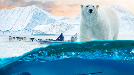 Arctic 3D: Our Frozen Planet