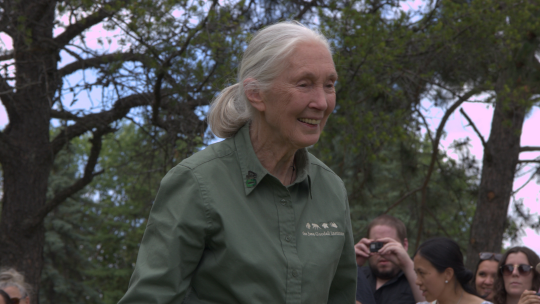 In Conversation with Dr. Jane Goodall